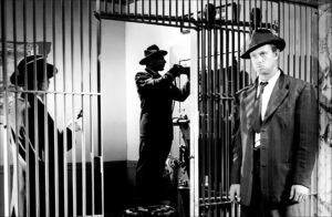 The Asphalt Jungle still 1