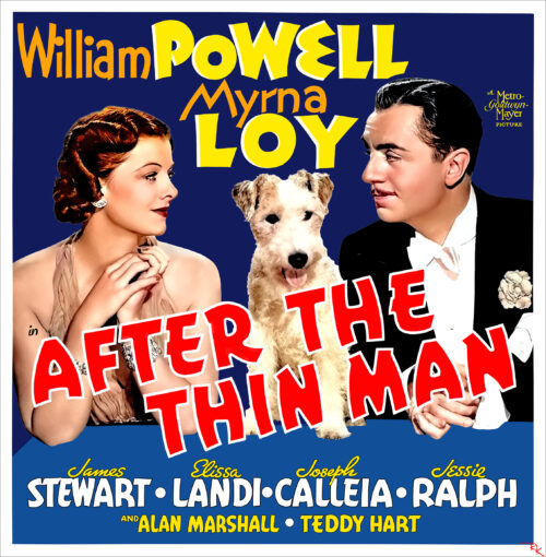Digitally restored "After the Thin Man" starring William Powell and Myrna Loy - The Movie Poster Store